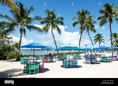 Morada bay florida - Morada Bay. Claimed. Review. Save. Share. 2,925 reviews #18 of 56 Restaurants in Islamorada $$ - $$$ American Caribbean Bar. 81600 Overseas Hwy Mile Marker 81.6, Bayside, Islamorada, FL 33036 …